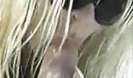 Các con trai cô, âm hộ, ép con lừa và to, chúng nó khó khăn và bắn trong sex nhat ban hay miệng của họ